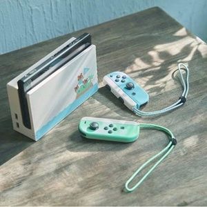 Nintendo switch and case